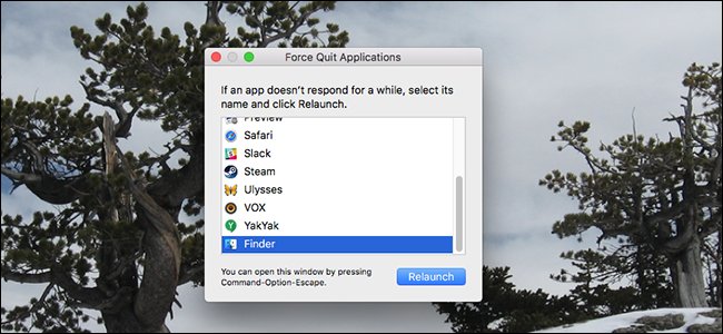 force quit mac os